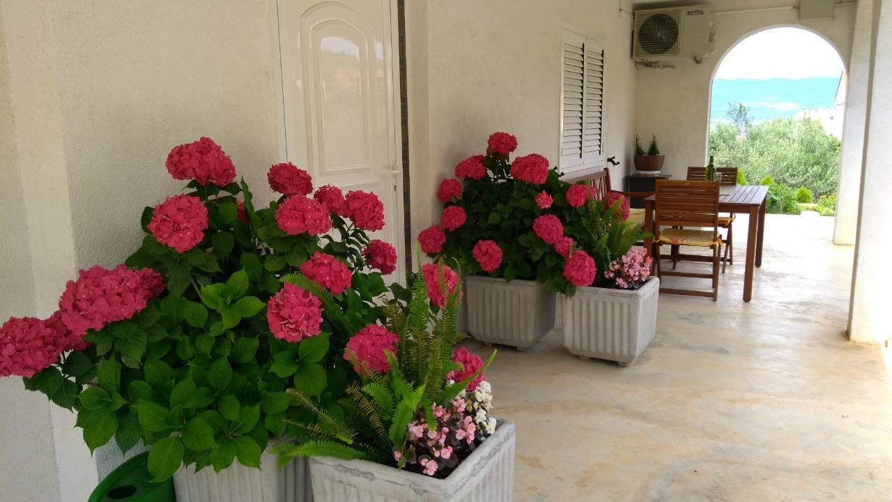 Megi1 Daire Vrbnik Dış mekan fotoğraf