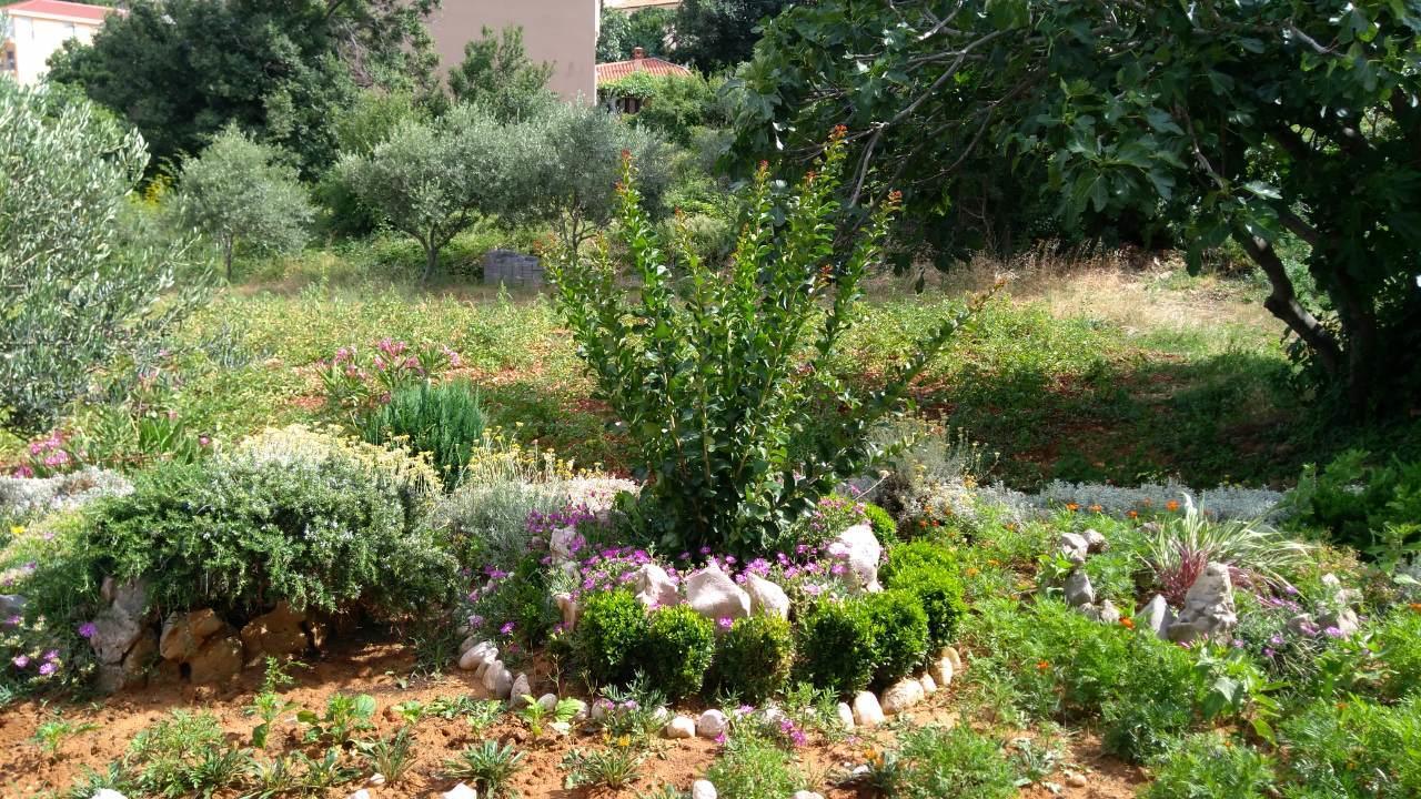 Megi1 Daire Vrbnik Dış mekan fotoğraf